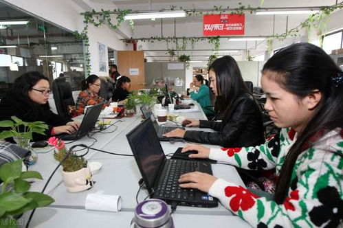 京东客服外包服务解析 日咨询500人规模的成本与价值