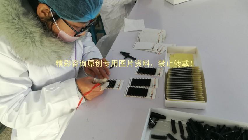 青岛xx眼睫毛工厂通过miniso质量验厂